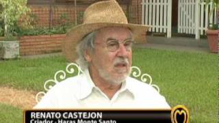 RENATO CASTEJON - HARAS MONTE SANTO