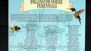 Planning Your Pollinator Garden - Cincinnati Zoo