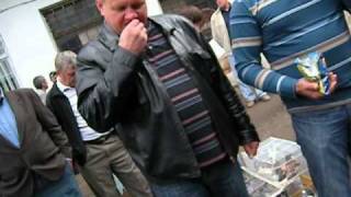 Chernivtsi, Green market, Ukraine. Черновцы, Зелёный рынок.