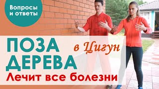 Поза дерева // Стояние столбом Цигун Медитация // Сергей Виноградов ЭЗО ФИТНЕС