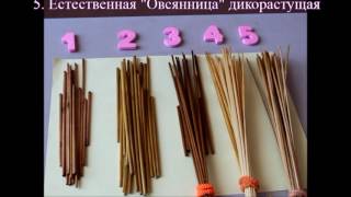 Вся технология обработки соломки за 5 минут. All processing of the straw for 5 minutes