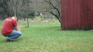 Greeting a Bobcat