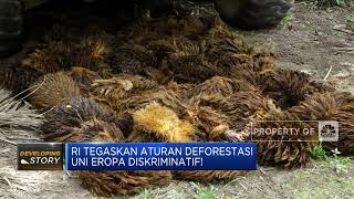 RI: Aturan Deforestasi Uni Eropa Diskriminatif!