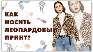 Как носить леопардовый принт? История леопардового принта