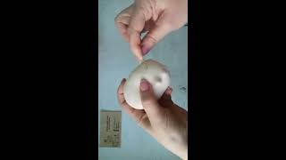 Lenasdoll МК объемная голова ч.2
