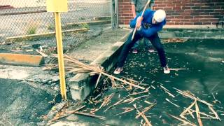 P-Frond | Music Video