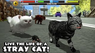 Stray Cat Simulator By Gluten Free Games -Compatible with iPhone, iPad, and iPod touch