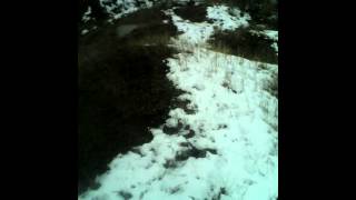 скалалази 1 (lenakan tv)