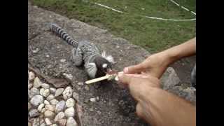 Paulo Afonso - Terceirão 2010 Col. Intelecto [6]