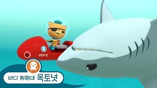 바다 탐험대 옥토넛 - 백상어 - 에피소드