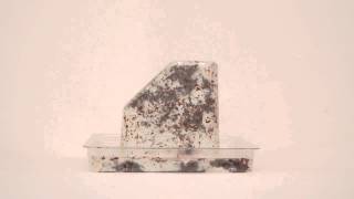 Mushrooms Become Packing Materials - Time-lapse Video