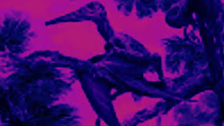 PTERYX (2012)