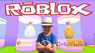 ROBLOX ЯЙЦА ОТКРЫВАЕМ НОВЫХ ПИТОМЦЕВ СИМУЛЯТОР ПИТОМЦЕВ Pet Simulator Роблокс  13+ Камзи