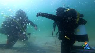 Ep.17. Summer sail, diving, buffering up the old girl and sailing with future crew!  Evy Adventures.