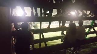 Tauremision En Directo Benimamet Previo