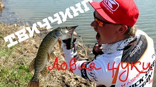 Твиччинг. Ловля щуки