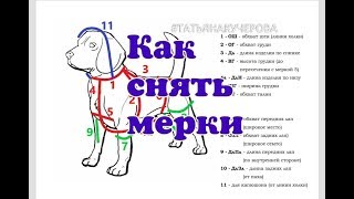 Как снять мерки