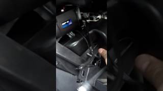 Причина сверчков под торпедой Focus 3