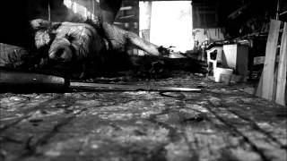 Film muto - Il rito del maiale