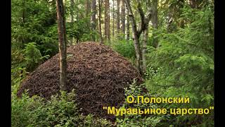 О. Полонский "Муравьиное царство"