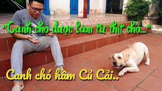 Phản ứng của Củ Cải khi nghe "Canh chó được làm từ thịt chó..."