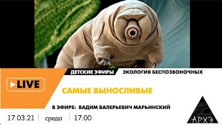 Детский эфир "Самые выносливые" рубрики "Экология беспозвоночных"