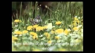 bextiyar vahabzade kepenek translation by alasgar