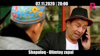 Shapaloq - Olimtoy zapal (anons)