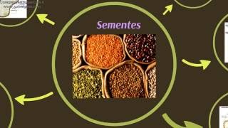 Vídeo Aula - Partes da semente.