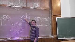 1.6 Сердце рыбы