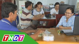 Trao tiền hỗ trợ hộ có heo bị tiêu hủy | THDT