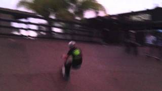 Ryan Williams: Worlds first double flair to wood