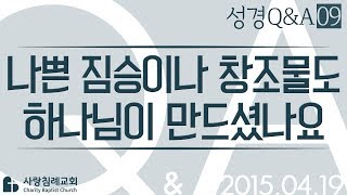 나쁜 짐승이나 창조물도 하나님이 만드셨나요_정동수 목사에게 물어보세요_에피소드 0009: 성경질의응답, 성경Q&A, 성경질문, 성경난제 , 사랑침례교회, 킹제임스 흠정역 성경