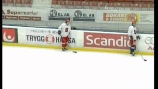 Wandell Bergfors Skridsko