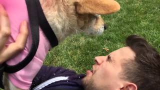 Puppy Pees on my Buddy's Face