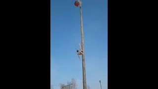 ? МУЖЧИНА УПАЛ СО СТОЛБА НА МАСЛЕНИЦЕ ( АНЖЕРО - СУДЖЕНСК) ?