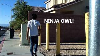 Owling