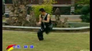 Shaolin Eagle Fist: Eagle and Tiger Fighting KF579-2 coohk