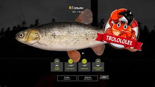 Русская рыбалка 4 Гольян  Мировой рекорд недели  Russian fishing 4