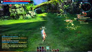 Tera Rising - Enemies in the Midst quest