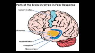 UBWOBA NI INDWARA TWESE ABANTU DUHUJE // ITURUKA HEHE?