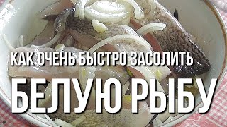 Как очень быстро засолить белую рыбу. Морозко - скоросолка из белой рыбы