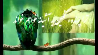 Afghan Mosic Ahhmad Zaher   اگر بهار بیاید ترانه ها خواهم خواند