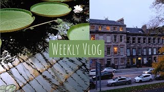 weekly vlog: october autumn, q&a, study