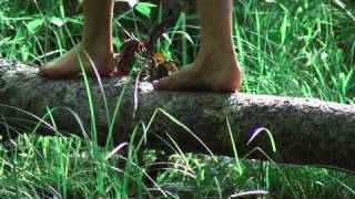 Nature's Child