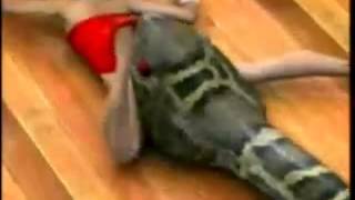 Super Anaconda swallows asian bunny girl