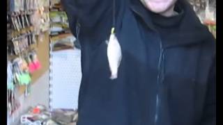 Ловля зимнего карася на безмотылку | Fishing for winter carp on basmatic