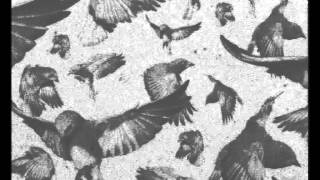 John Cage: Bird Cage (1972)