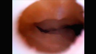 Sex Selfie Stick Demonstration with Lisa & Annabelle | Live Demonstration with Lube