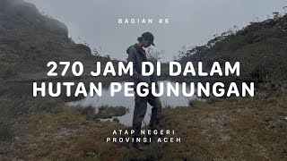 GUNUNG LEUSER - Atap Negeri Aceh #6